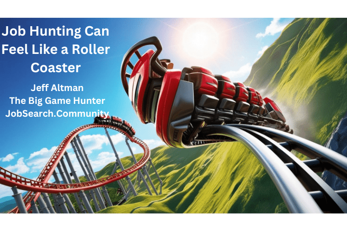 Job Hunting Can Feel Like a Roller Coaster #shorts Job Hunting Can Feel Like a Roller Coaster #shorts